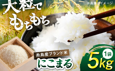 【令和7年産】【スピード発送】にこまる  白米 5kg(5キロ)  糸島市 / 糸島の恵み[AGR001] お米