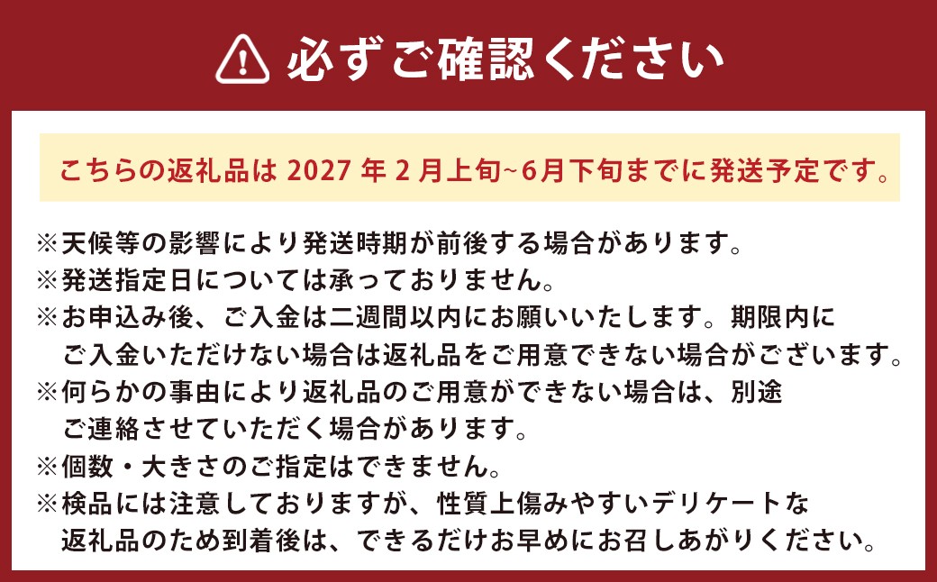 熊本産 西村農園のトマト 約4kg （ サイズ混合 ）