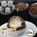 【ふるさと納税】復刻版バフンケーキ　加美町名産　『加美ショコラ』　6個入り [やくらい土産センター 宮城県 加美町 44581294]