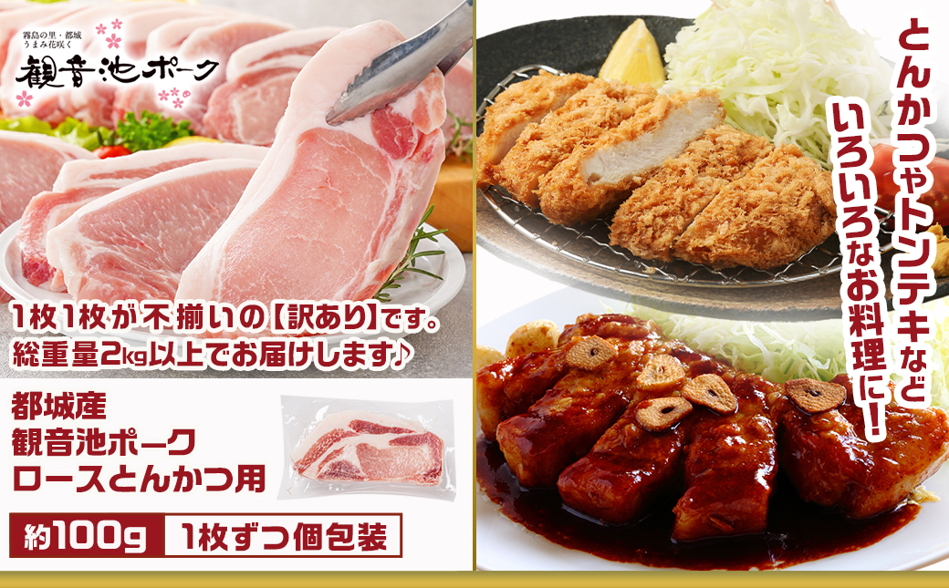観音池ポークロースとんかつ用【訳あり】&ミンチ・宮崎県産切り落とし4.2kgセット_AC-9221