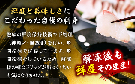 【全2回定期便】 豪快 舟盛り 「永村印の神洸丸大漁舟盛り」 3〜4人前《壱岐市》【神洸水産】 刺身 刺し身 海鮮 鮮魚 海産物[JFI005]