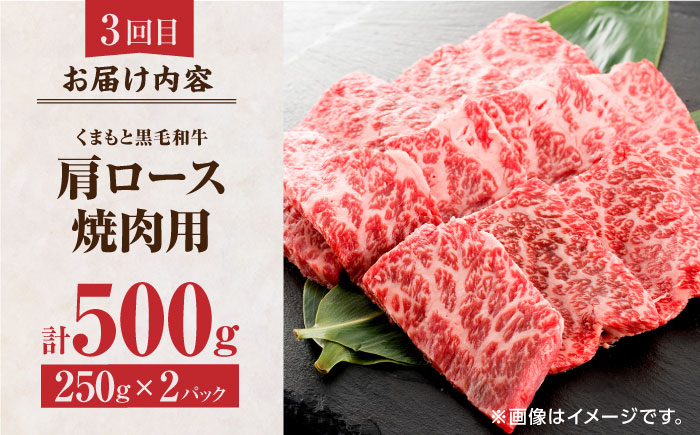 【6回定期便】くまもと黒毛和牛 贅沢定期便（ステーキ すき焼き しゃぶしゃぶ 焼肉）【馬刺しの郷 民守】 和牛 お肉 肉 ステーキ サーロイン  [ZBL036]