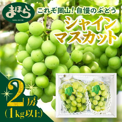 【ふるさと納税】【2026年度発送分】早起き農家の直送便　お土産シャインマスカット2房_ シャインマスカット ふるさと納税 ぶどう 葡萄 ブドウ マスカット 果物 くだもの フルーツ 産直 産地直送 岡山県 津山市 化粧箱【配送不可地域：離島・北海道・沖縄県】【1519537】