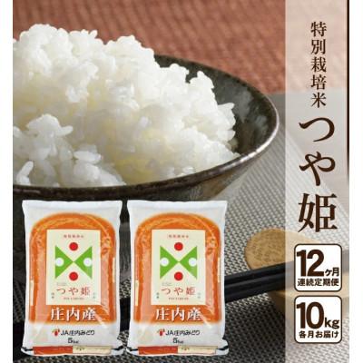 ふるさと納税 酒田市 【毎月定期便】特別栽培米 つや姫【精米】10kg(5kg×2袋)全12回