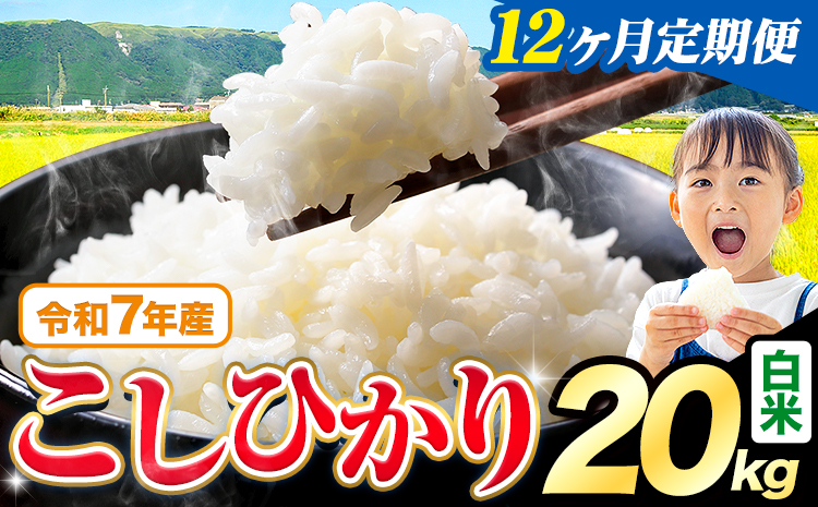 【12ヶ月定期便】令和7年産 白米 こしひかり 20kg《お申込み翌月から出荷》熊本県産 ふるさと納税 白米 精米 ひの 米 こめ ふるさとのうぜい コシヒカリ コメ お米 おこめ---reihoku_loc_343_mo12---