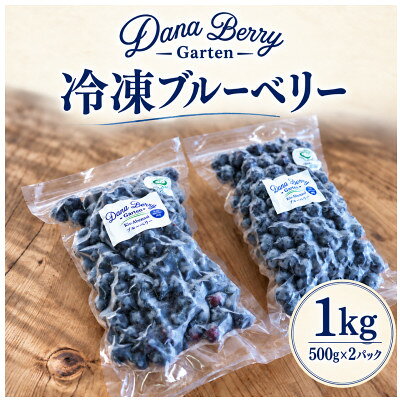 【ふるさと納税】標高1100m　中央アルプス山麓育ち　冷凍ブルーベリー1kg(500g×2袋)【配送不可地域：離島・沖縄県】【2001029】