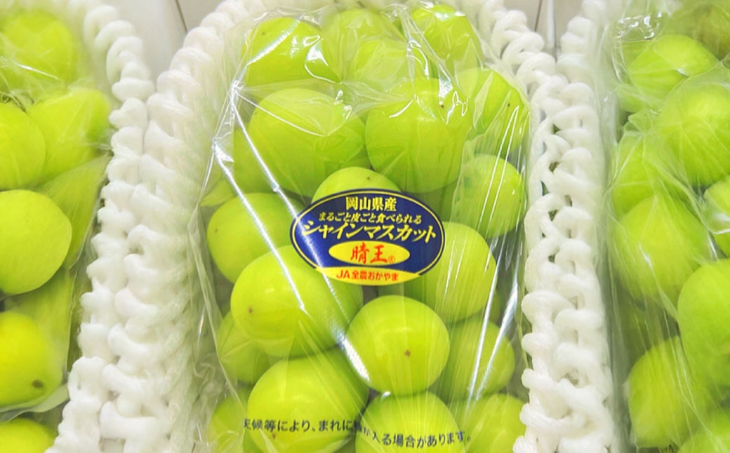 晴れの国岡山シャインマスカット晴王各回1房約600g以上化粧箱入り