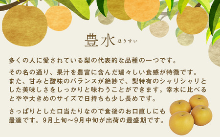 【先行予約 数量限定】梨 豊水 約3kg 6玉～12玉 | 梨 梨 梨 梨 梨