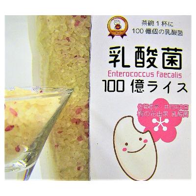 ふるさと納税 佐世保市 乳酸菌100億ライス 3kg |  | 02