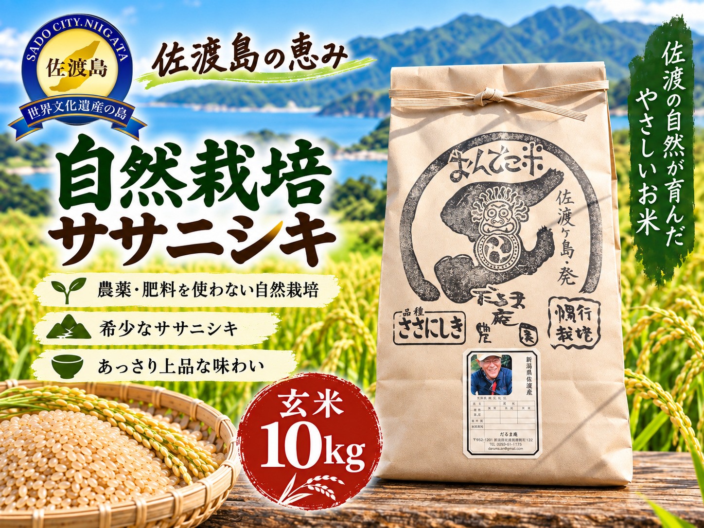 
                  【令和8年産】佐渡産 自然栽培ササニシキ 玄米10kg 自然栽培 栽培期間中 肥料・農薬不使用 だるま庵農園 | 新潟県産ササニシキ 新潟産ささにしき 佐渡産ササニシキ ささにしき お米 米 玄米 げんまい おこめ コメ 10キロ 農家直送 にいがた さど 新潟県 佐渡市 新潟県産ササニシキ 新潟産ささにしき 佐渡産ササニシキ ささにしき 新潟県産ササニシキ 新潟産ささにしき ささにしき
                