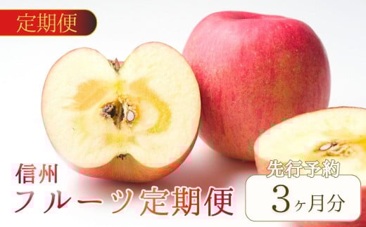 【2025年先行予約】【定期便3回】 シャインマスカット 2～3房(約1～1.2kg)/１回 信州りんごの詰合せ 約3kg(8～11玉)/1回 サンふじ 約5kg(10～18玉)1回  果物 フルーツ 長野県産 千曲市 信州