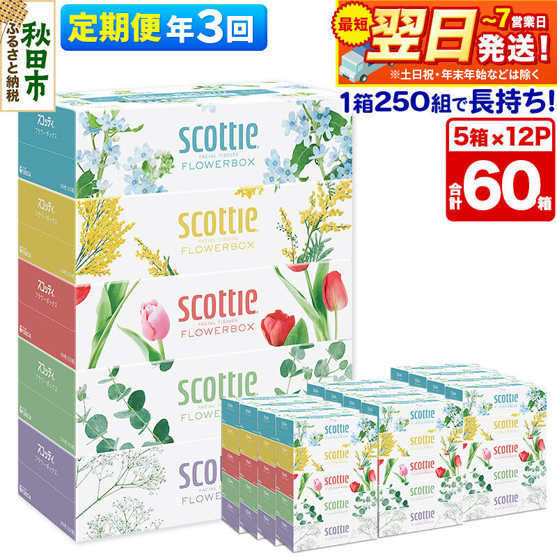 《4ヶ月ごとに3回お届け》定期便 ティッシュペーパー スコッティ フラワーボックス250組 60箱(5箱×12パック) ティッシュ 最短翌日発送 [ティッシュ スコッティ(SCOTTIE) スコッティティシュー 定期便]