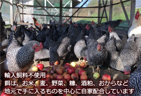 卵 平飼い 有精卵 ふぁーむbuffo 30個