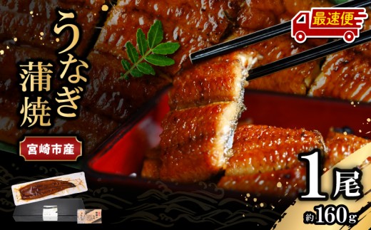 【最速便】【日時指定可能】宮崎県宮崎市産　うなぎの蒲焼　約160g（約160g×1尾）タレ・山椒セット_M325-005-2W