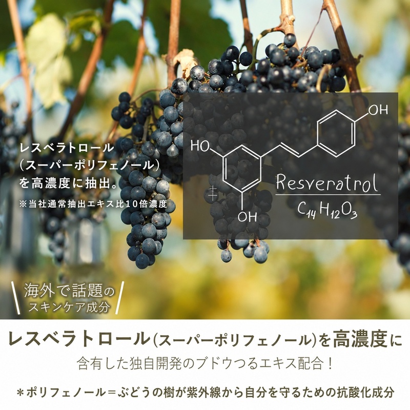 美容乳液 100ml オーガニック認証 エイジングケア 高濃度 レスベラトロール 天然由来100％ 無添加 敏感肌 目元 シワ 紫外線ケア 肌キメ シェアコスメ メンズ にも 約4か月分 