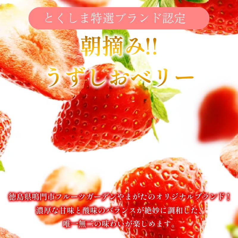 いちご 苺 6パック 1.2kg 2026年1月～4月末まで発送 うずしおベリー 果物 フルーツ デザート 旬 新鮮 季節 冬 人気 ケーキ おすすめ ギフト プレゼント 贈答 家庭用 先行予約 送料