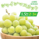 【ふるさと納税】＜25年発送先行予約＞シャインマスカット 2-3房入り 1.5kg以上 1箱 　ふるさと納税 シャインマスカット 大粒 笛吹市 国産 人気 期間限定 ぶどう ブドウ 葡萄 贈り物 ギフト プレゼント 旬 果物 フルーツ 山梨県 送料無料 164-005