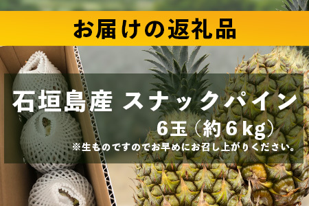 【先行予約】《2025年5月上旬頃より順次発送》石垣島産 スナックパイン (6玉 約6kg) 【 産地直送 沖縄 石垣 パイナップル フルーツ 】TP-9