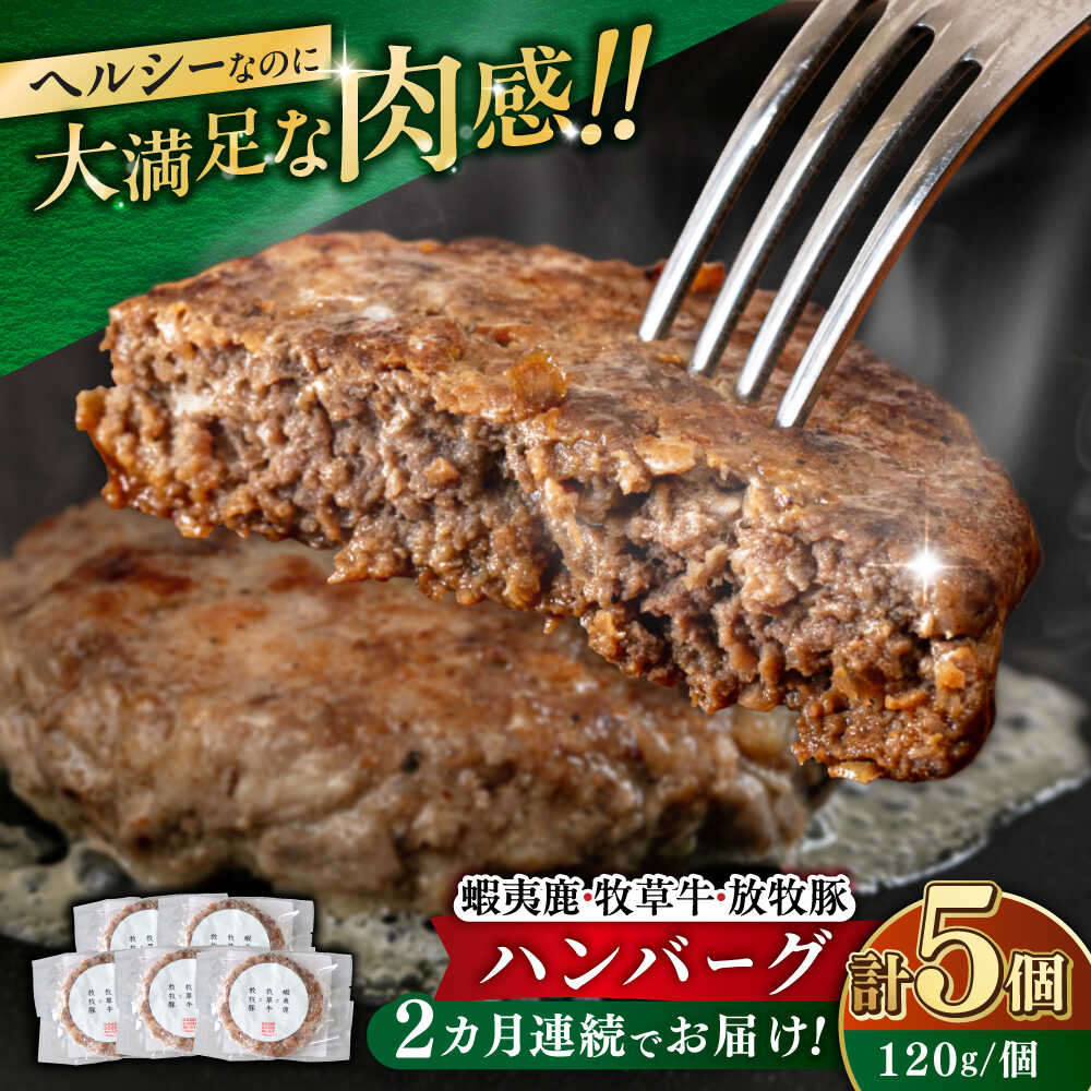 【ふるさと納税】【全2回定期便】【蝦夷鹿×牧草牛×放牧豚】ハンバーグ 5個 《厚真町》【GOODGOOD株式会社】 ハンバーグ 鹿肉 牛肉 豚肉 小分け 冷凍配送 北海道[AXBP018]
