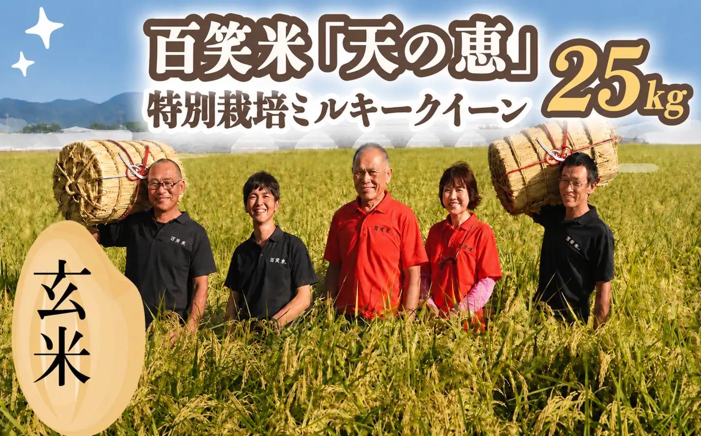 【 玄米 】百笑米 「 天の恵 」 有機栽培 ミルキークイーン 25kg R8年産 新米 米 コメ 茨城県 単一米