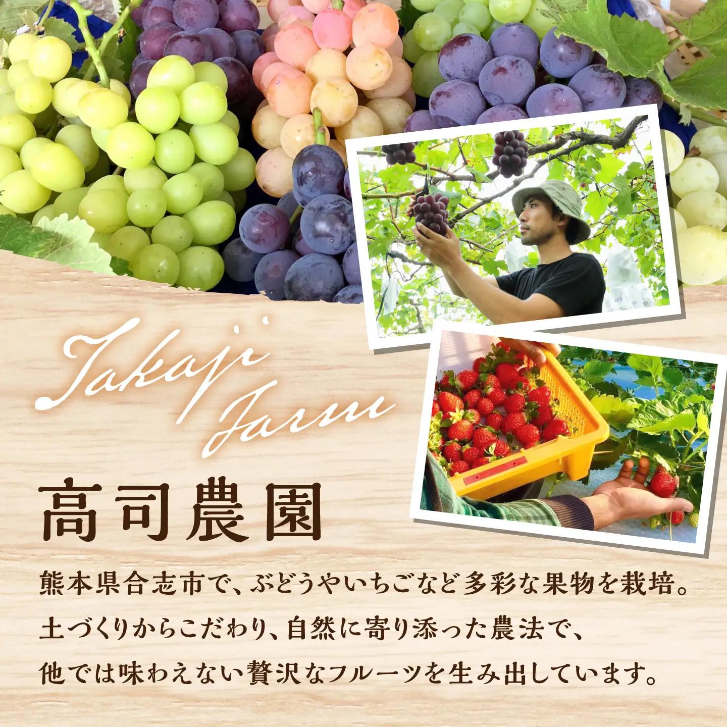 【先行予約】【2027年1月下旬発送開始】いちご 24個(500g程度) / (あまえくぼ or 恋みのり) 苺 ストロベリー フルーツ 果物 くだもの 青果【有限会社 高司農園】[AYDO001]