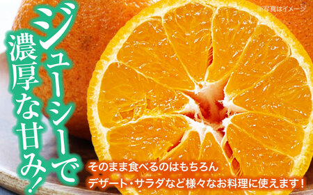 【3月下旬から順次発送】完熟デコポン 5～6個 デコポン  /フジ・アグリフーズ[AGBA008] みかん