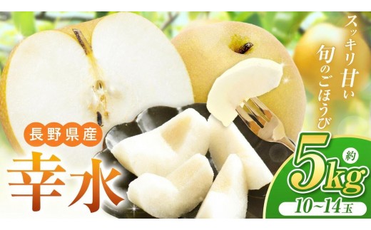 
            【2026年先行予約】爽やかな甘みとシャリ感！長野県産 幸水 約5kg（ 10 ～ 14 玉 ） 【８月下旬以降発送予定】| 果物 くだもの フルーツ 梨 なし ナシ 幸水 シャキシャキ 甘い さっぱり ジューシー 長野県 塩尻市
          