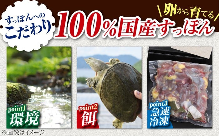 すっぽん スッポン コラーゲン 珍味 海鮮 魚介類 鍋 ナベ なべ セット