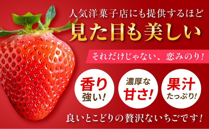 こば農園のこだわりいちご　恋みのり 約540g（約270g：6~11粒×2パック） 【合同会社 こば農園】 [ZFO001]