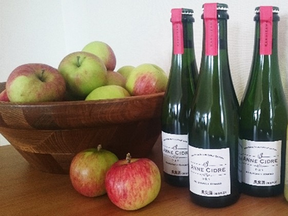 小諸産りんごの発泡酒 シードル３本セット お酒 プレゼント おしゃれ 辛口 信州 長野 お土産 ご当地 お取り寄せ お酒／ワイン 洋酒 アップル リンゴ スパークリングワイン 