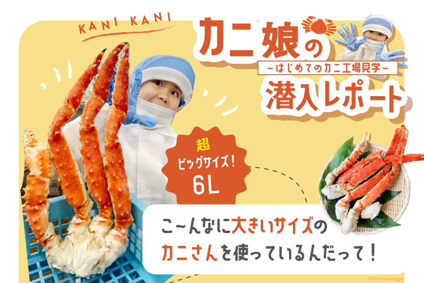 本 タラバガニ 脚 スリット入 約1.3kg 極太6Lサイズ ボイル済 [カネダイ 宮城県 気仙沼市 20563269] カニ かに 蟹 たらばがに たらば蟹 タラバ蟹 たらば タラバ ボイル 訳あり