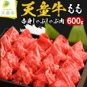 【ふるさと納税】天童牛 もも 赤身 600g しゃぶしゃぶ肉 国産 黒毛和牛 和牛 牛肉 ブランド牛 山形牛 もも肉 ヘルシー 肉 冷凍 お鍋 ご家庭用 ギフト プレゼント 贈答用 お中元 お歳暮 お取り寄せ グルメ 食品 送料無料【山形県 天童市】