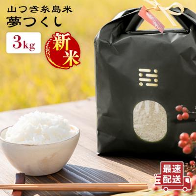 ふるさと納税 糸島市 糸島で育てた山つき糸島米3kg(夢つくし) 糸島市/itoshimacco[ARJ010]