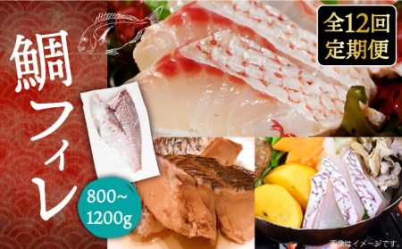 【全12回定期便】鯛フィレ 約800～1200g《壱岐市》【なかはら】 [JDT035] 刺身 刺身 刺身 刺身 刺身 刺身