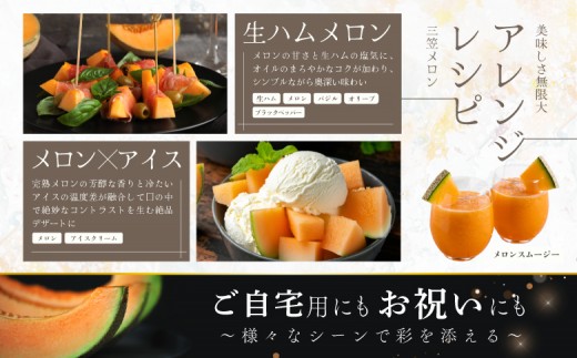 《2026年分受付中》大玉！とろける食感の北海道三笠メロン2玉入(3.2kg以上)