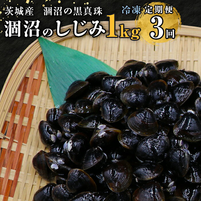 【ふるさと納税】しじみ 小分け 真空 オルニチン しじみ汁 しじみご飯 しじみバター 453 しじみ 定期便 1kg 冷凍 砂抜き 500g × 2袋 × 3回 ひぬま やまと シジミ 涸沼 大和 【3ヶ月連続お届け】