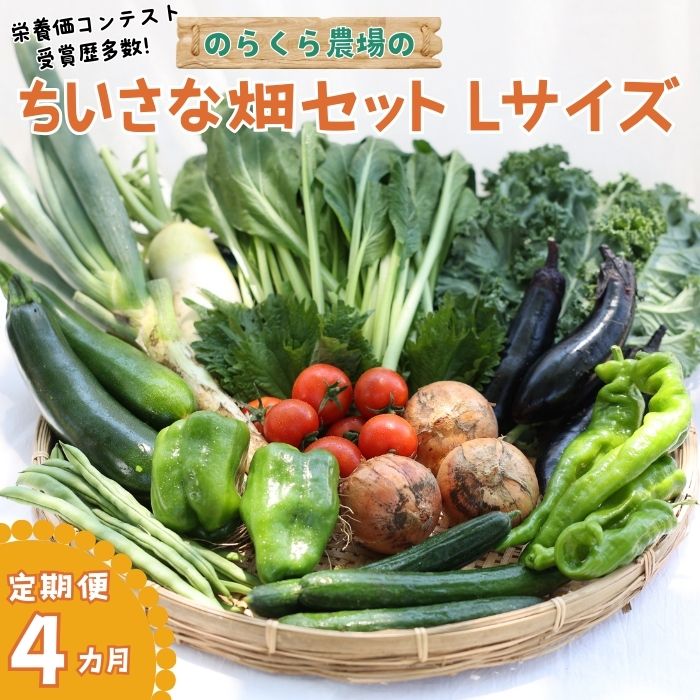 【ふるさと納税】●先行受付・2025年発送　定期便4カ月　ちいさな畑セット（Lサイズ　3～4人前）（NK-T507）