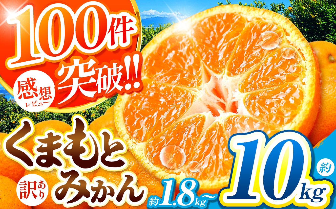 
                  訳あり 大玉 くまもとみかん 約 1.8kg / 5kg / 10kg  |  大小混合  果物 くだもの フルーツ 柑橘 柑橘類 みかん ジューシー みかん 甘い みかん ミカン 家庭用 みかん 温州 みかん 蜜柑 みかん ミカン 熊本県 玉名市 
                