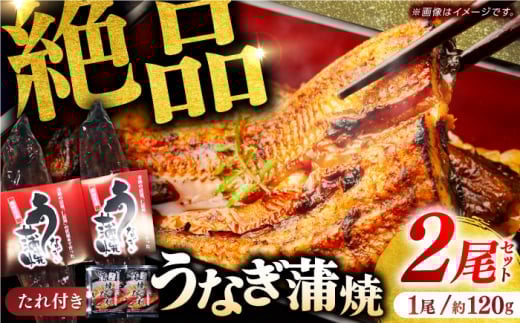 【年内発送】奇跡の清流「仁淀川」水系で育てた高知県産「うなぎ蒲焼」2尾セット / うなぎ 鰻 ウナギ 2尾 セット 冷凍 鰻の蒲焼 うなぎ蒲焼き うな重 うな丼 ひつまぶし タレ たれ 国産 高知 高知県産 お取り寄せ 土用の丑の日 人気 おすすめ お土産 贈答 プレゼント 贈り物 【株式会社海訪屋】 [ATBC001]