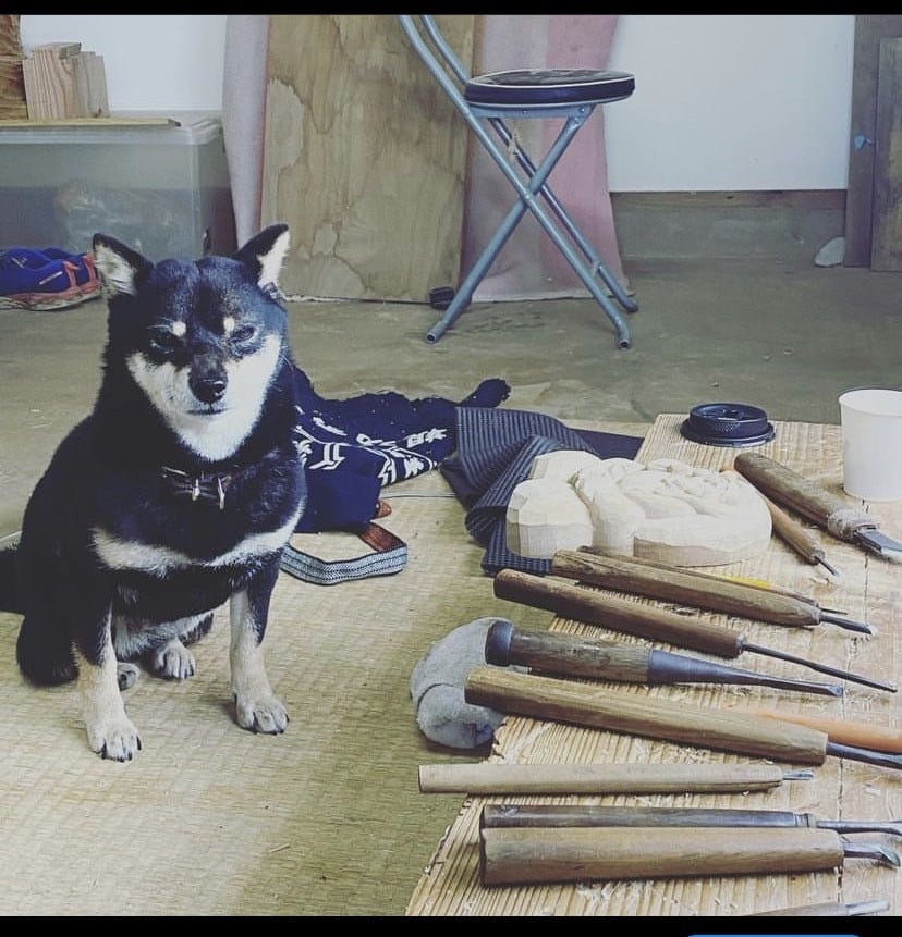 愛犬まる