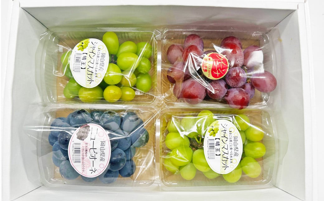 岡山県産 ぶどうパック詰合せ ※3種4パックセット （ ニューピオーネ ・ シャインマスカット ・ 旬のぶどう ）