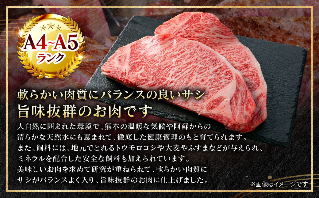 軟らかい肉質にバランスの良いサシ、旨味抜群のお肉です。