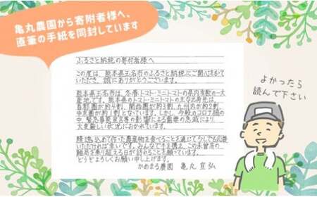 『かめまる農園』ミニトマト アイコ 3kg 熊本県玉名市産