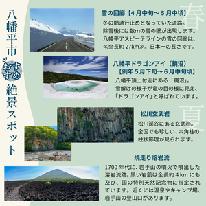 八幡平市共通宿泊補助券（10000円相当） ／ 選べる 宿泊 八幡平市