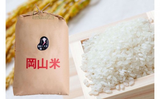 
                  令和8年産 新米 先行予約 備前乙女米 白米 30kg×1袋 岡山県産 | 米 お米 白米 精米 特A きぬむすめ 石原果樹園 【ishk039-01】
                