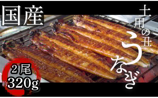 うなぎ 鰻 ウナギ 国産 蒲焼き 2尾（約320g）冷蔵 特上 タレ付き かば焼 蒲焼 鰻蒲焼き 鰻蒲焼 養殖鰻 養殖うなぎ うな重 うな丼 ひつまぶし タレ セット 魚 魚介 惣菜 ギフト 贈り物 贈答 土用の丑 土用 丑の日 和食 日本料理 徳島県