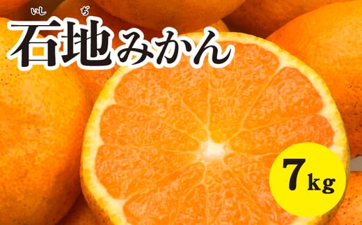 みかん 柑橘【先行受付】【2025年12月以降発送】糖度が高く濃厚！石地みかん〈約7kg〉広島 三原 佐木島 鷺島みかんじま 017017