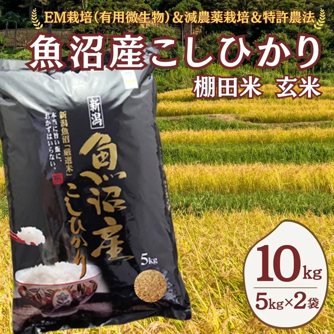 【令和8年 先行予約】魚沼産コシヒカリ棚田米 玄米10kg (5キロ×2) 佐藤農場 | 新潟県 コシヒカリ おこめ