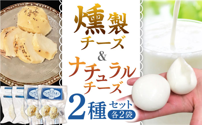 贅沢自家製チーズ2種セット（燻製ナチュラルチーズ2袋 サンモッツァ2袋）【山の未来舎】 [YBV034]