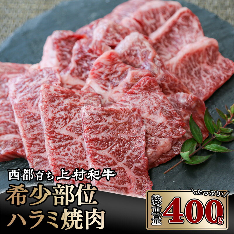 【ふるさと納税】国産黒毛和牛「上村和牛」牛ハラミ焼肉 400g（200g×2P） 国産 牛肉 宮崎県産 ふるさと納税 黒毛和牛 焼肉 国産牛 宮崎 送料送料無料＜2-87＞